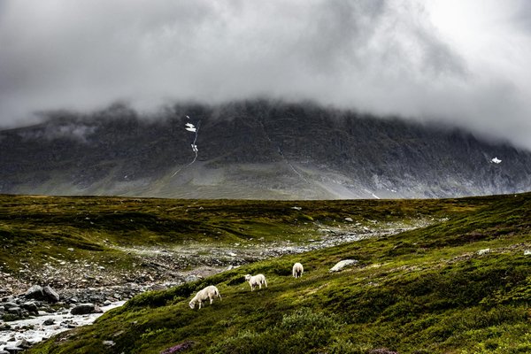 Le climat de punta cana : découvrez la meilleure période idéale