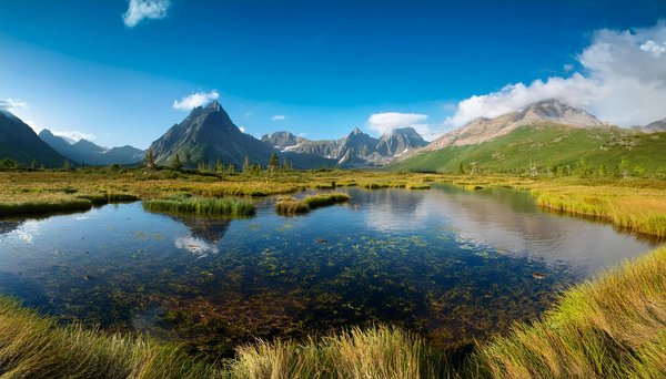 Le rôle de la location de gîtes ruraux dans la préservation de la biodiversité